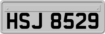 HSJ8529