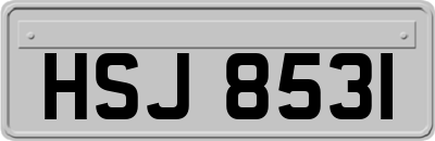 HSJ8531