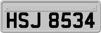 HSJ8534