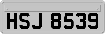 HSJ8539