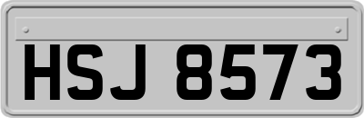 HSJ8573