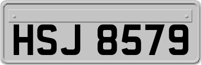 HSJ8579