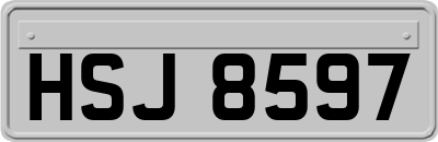 HSJ8597