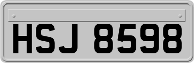 HSJ8598