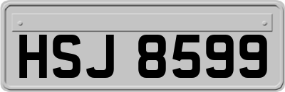 HSJ8599