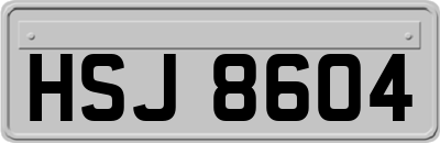 HSJ8604