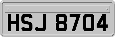 HSJ8704