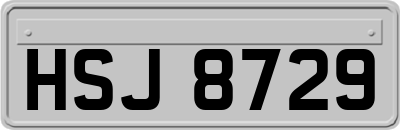 HSJ8729