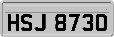 HSJ8730