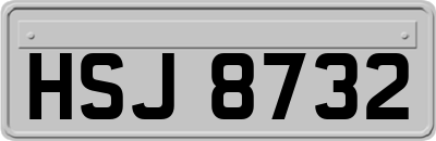 HSJ8732