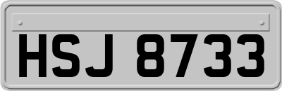 HSJ8733