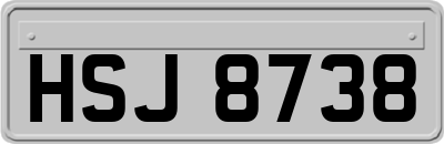 HSJ8738