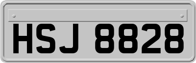 HSJ8828