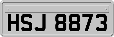 HSJ8873