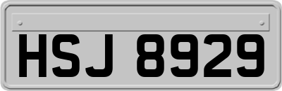 HSJ8929