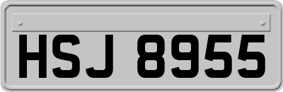 HSJ8955