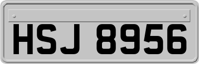 HSJ8956