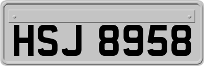 HSJ8958