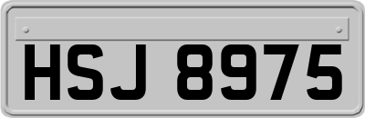 HSJ8975