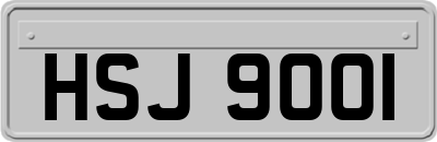 HSJ9001