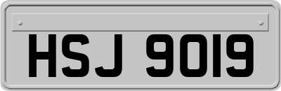 HSJ9019