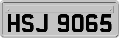 HSJ9065
