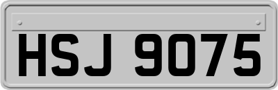 HSJ9075