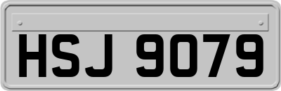 HSJ9079