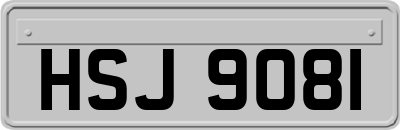 HSJ9081