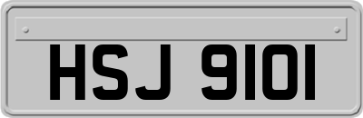 HSJ9101