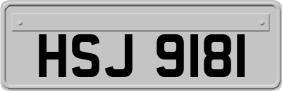HSJ9181