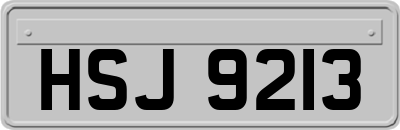 HSJ9213