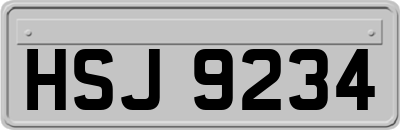 HSJ9234