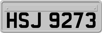 HSJ9273