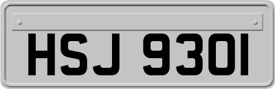 HSJ9301