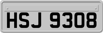 HSJ9308