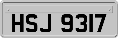 HSJ9317