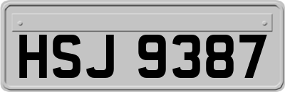 HSJ9387