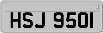 HSJ9501
