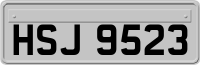 HSJ9523