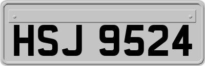 HSJ9524