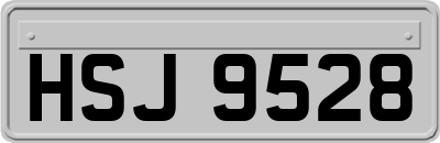 HSJ9528