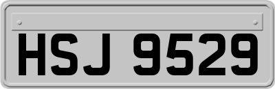 HSJ9529
