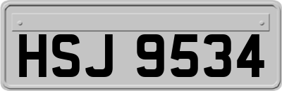 HSJ9534