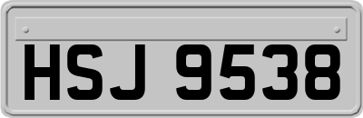 HSJ9538