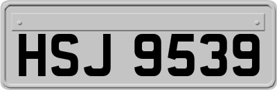 HSJ9539