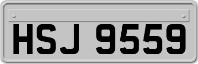 HSJ9559
