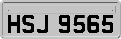 HSJ9565