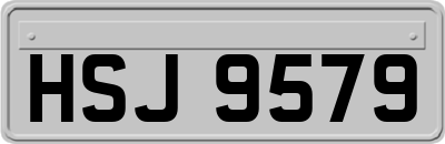 HSJ9579