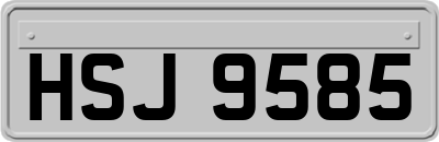HSJ9585